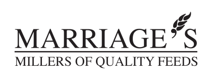 Marriages