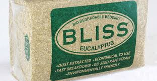 Bliss Eucalyptus
